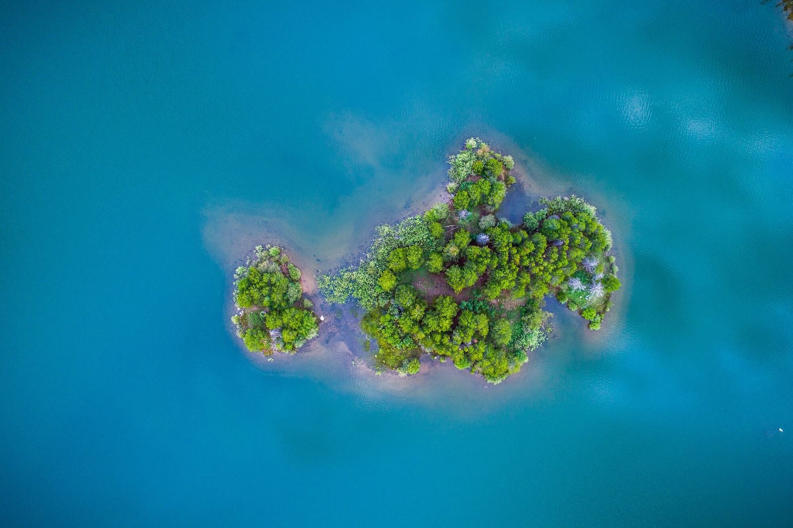 Nathan Anderson 316188 Unsplash 1